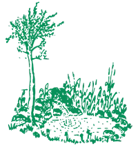 Garten- und Landschaftsgestaltung Birgit Meisel Logo