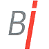Birken Immobilien Immobilienmaklerin Logo