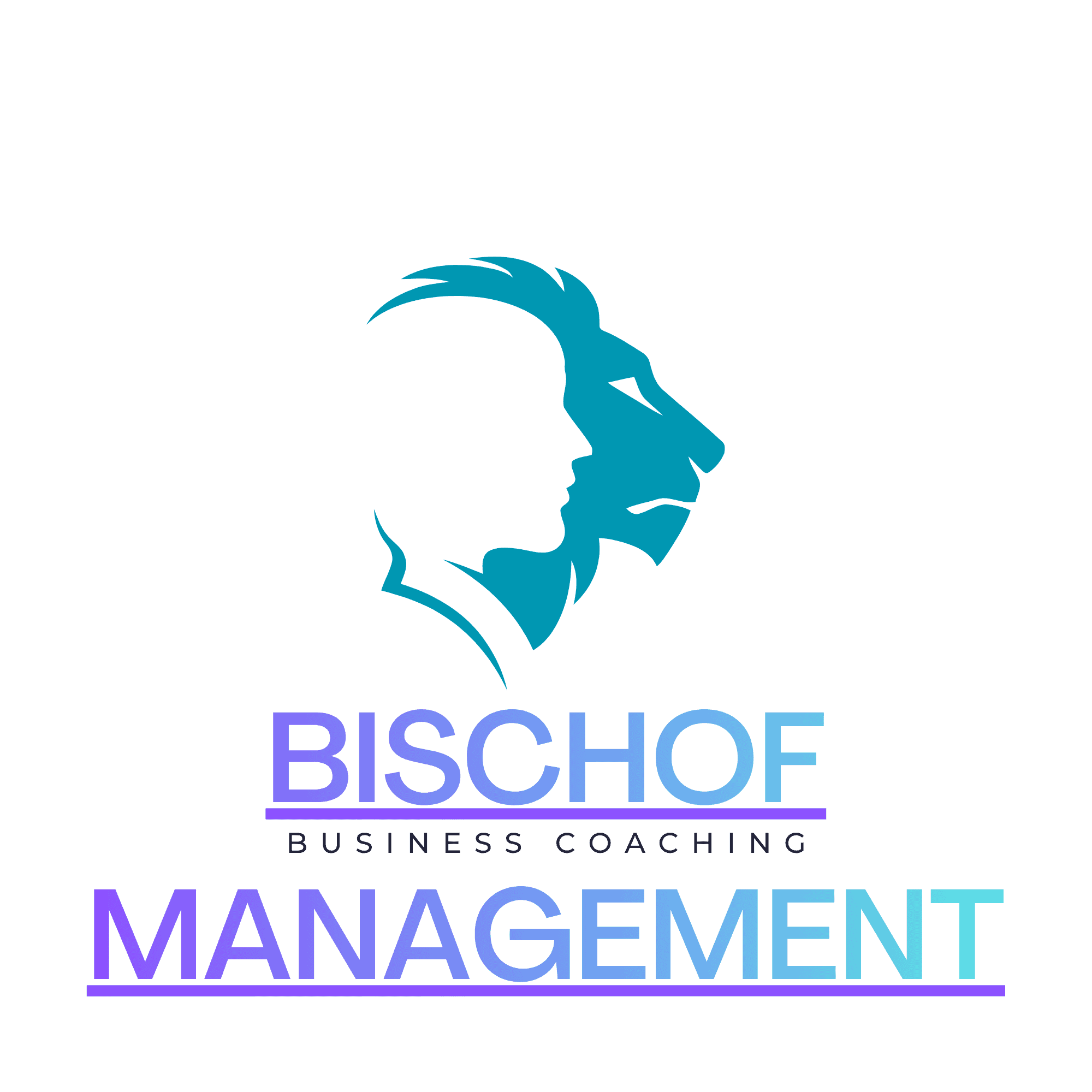 Bischofmanagement GmbH & Co KG Logo