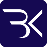 Bitzer & Kollegen Steuerberater Logo