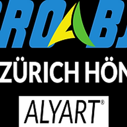 BJJ Zürich Logo