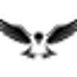 Black Bird Global GbR Logo