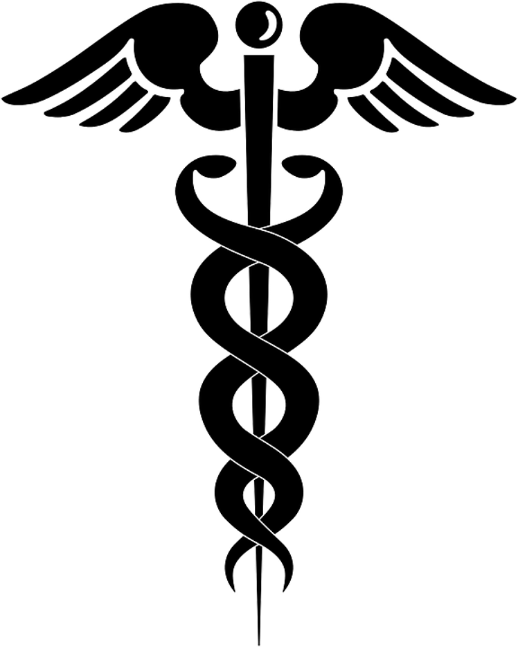 BlackProtect Logo