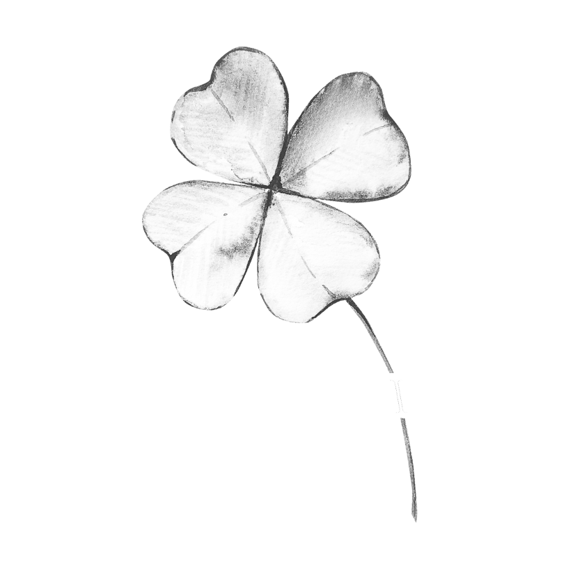 BLISS IN BUSINESS Logo