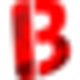 Bloodycase Logo
