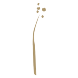 Floristik Schönmann Gärtnerei Logo