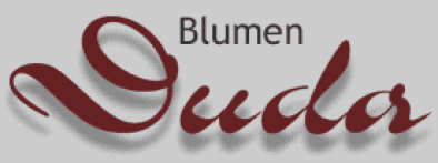 Duda Logo