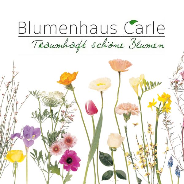 Blumenhaus Carle Logo
