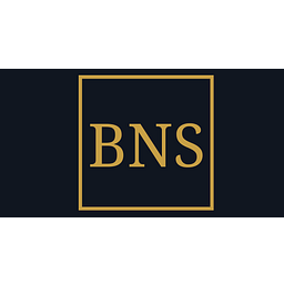 BNS IT UG (haftungsbeschränkt) Logo