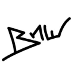Bnw Shop Logo
