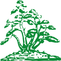Roth Manfred Bonsai-Stube Logo