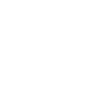 Bopp & Dietrich GmbH Logo