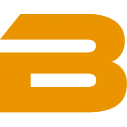 Borgmann IT Solutions Inh. Sven Borgmann Logo