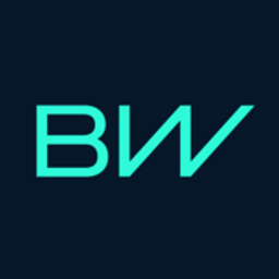 BorgWarner Transmission Systems GmbH Logo