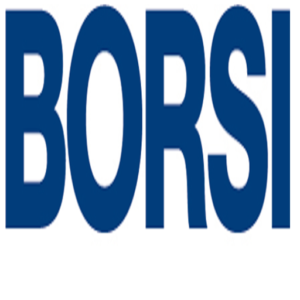 B O R S I GmbH & Co. KG Logo