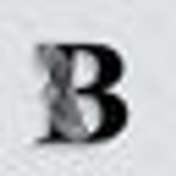 Bozuc Logo