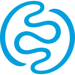 Brand Praxis Logo