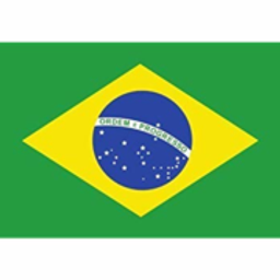 Brasil Shop24 Logo