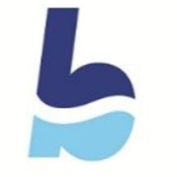 Braun Gebäudereinigung Logo