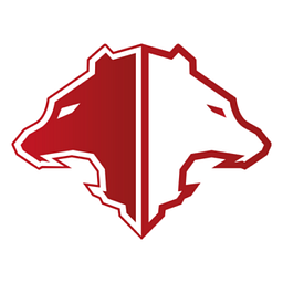 Brave Fight Shop Logo