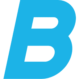 Briiz COM Logo