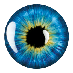 Optik Bunzel Logo