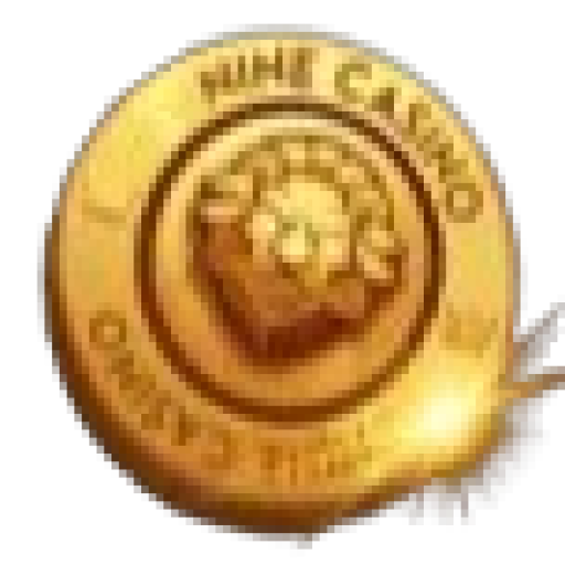 Bro Winners Logo