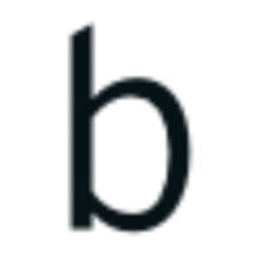 Bruns Optik Logo