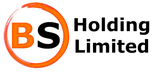 BS Holding Logo