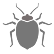 BSB Bremer Schädlingsbekämpfung GmbH Logo
