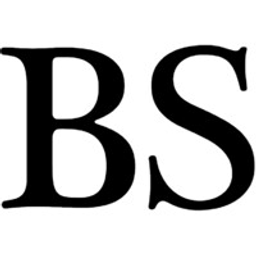 BS International GmbH Logo