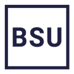 BSU Apothekenstrategie GmbH Logo