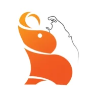 Ceylon Classic Tours Logo