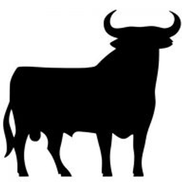 Buena Vista Logo