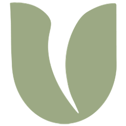 BULBi Logo