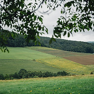 Burghof Logo