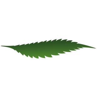 Bushplanet Logo
