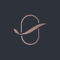 Business Skies Logo