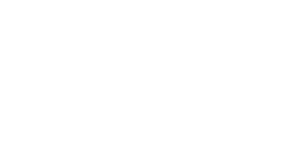 Bremer Zahnrad Logo