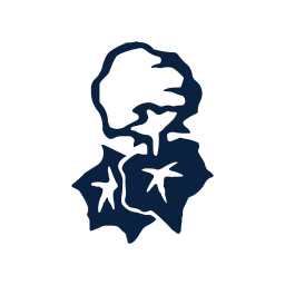 Café Coton Logo