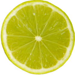 Caipirinha Partyband Ammersee Logo
