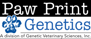 Canine HealthCheck Logo