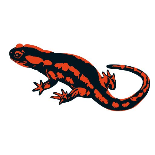Canyoning Team Allgäu Logo