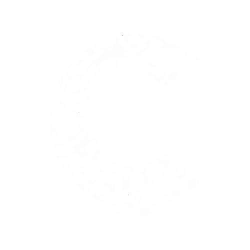 Capara Holding GmbH Logo