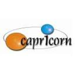 Caprcicorn Custom Solutions Logo