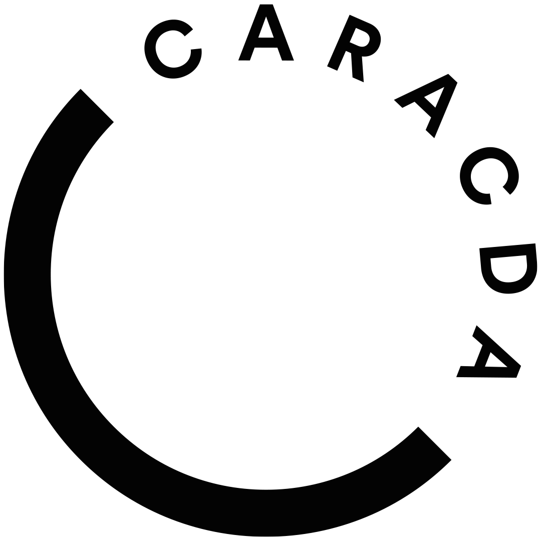 caracda GmbH Logo