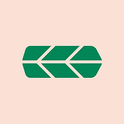 Carlili Logo