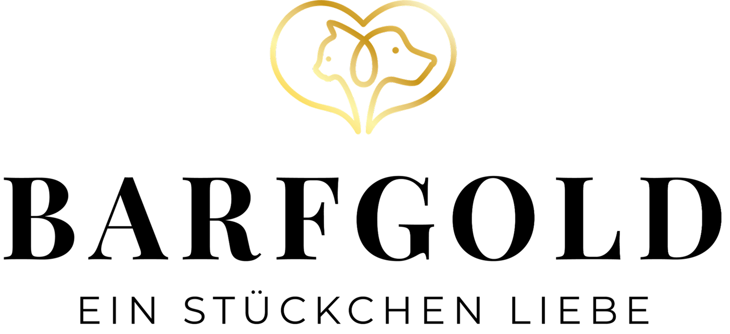 Carne Fleischhandel GmbH Logo
