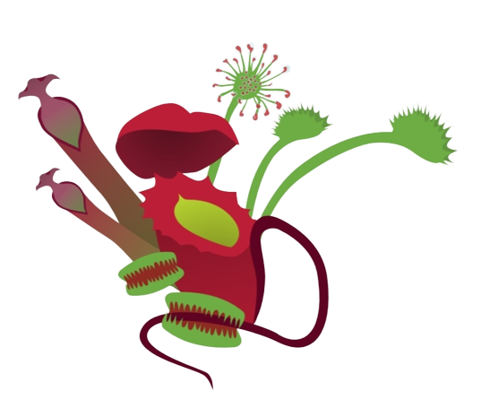 Carnivory Logo