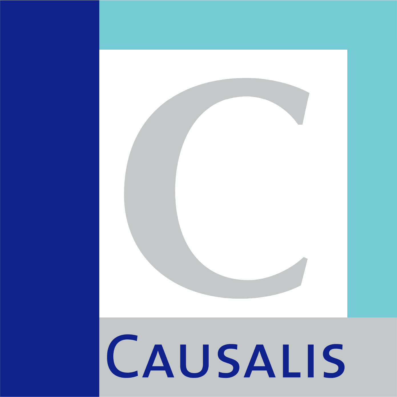 Causalis in der IIT GmbH Computerunterricht Logo
